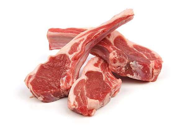 Lamb